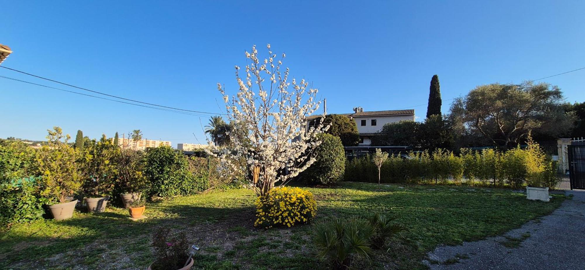 Studio Independant Avec Terrasse A Juan Les Pins 앙티브 외부 사진